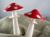 AMANITA MUSCARIA GARDEN MASHROOMS