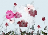 Poppies in Blue