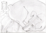 Original Pencil Drawing of your Pet