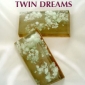 Twin Dreams