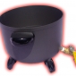 Venus Candles